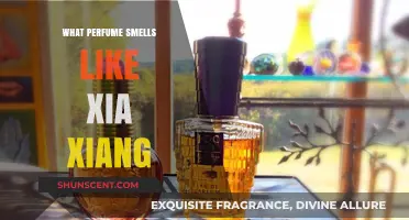 Xia Xiang's Signature Scent: Unveiling the Fragrance Notes