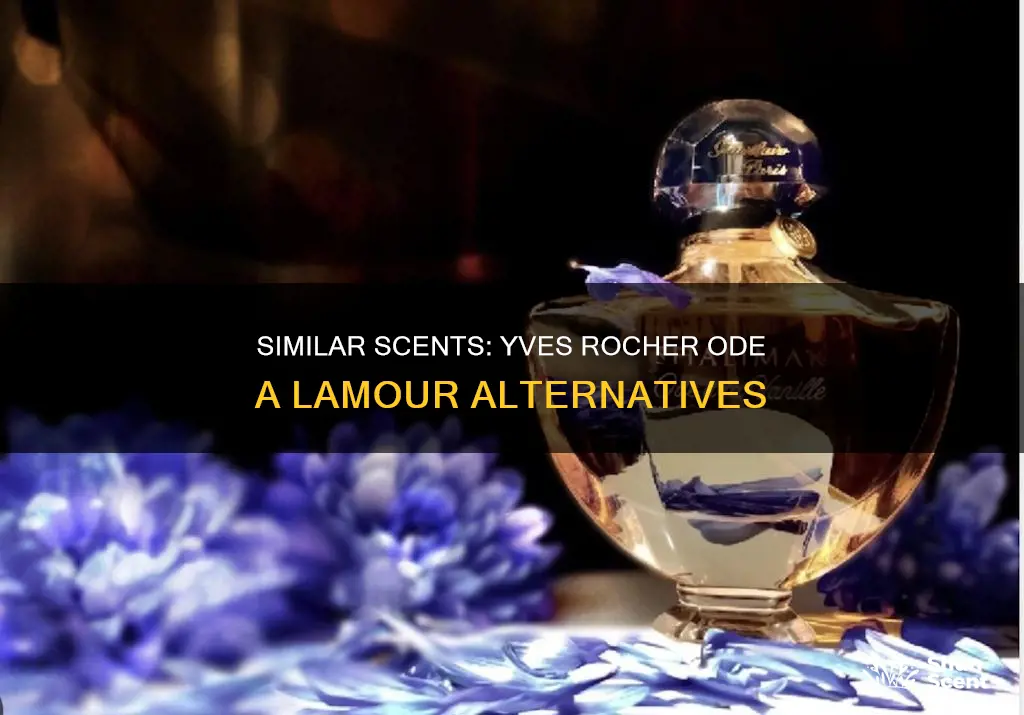 what perfume smells like yves rocher ode a lamour