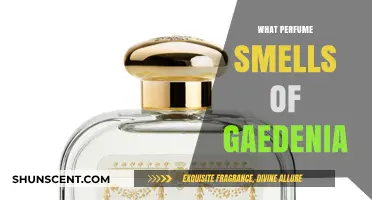 Gardenia Scents: The Best Perfumes for You