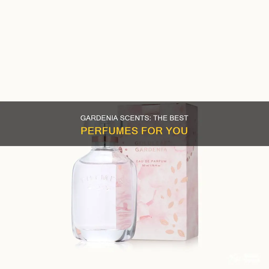 what perfume smells of gaedenia