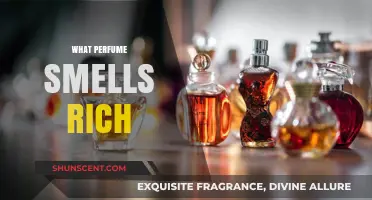Luxurious Scents: Perfumes that Smell Expensive