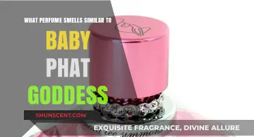 Discovering Scents Similar to Baby Phat Goddess