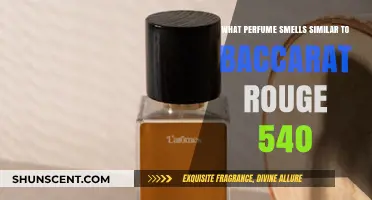 Explore Perfumes That Smell Like Baccarat Rouge 540