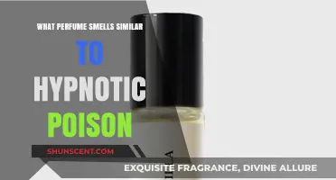Hypnotic Poison: Discover Similar Perfumes and Their Scents