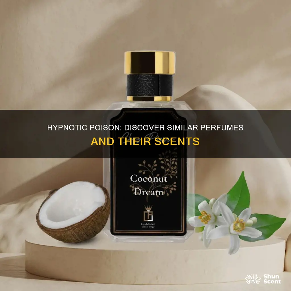 what perfume smells similar to hypnotic poison