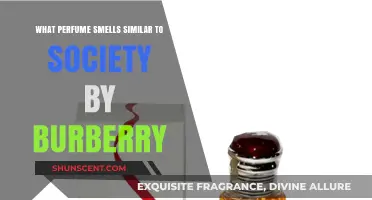Burberry Society Perfume: Find Your Scent Soulmate