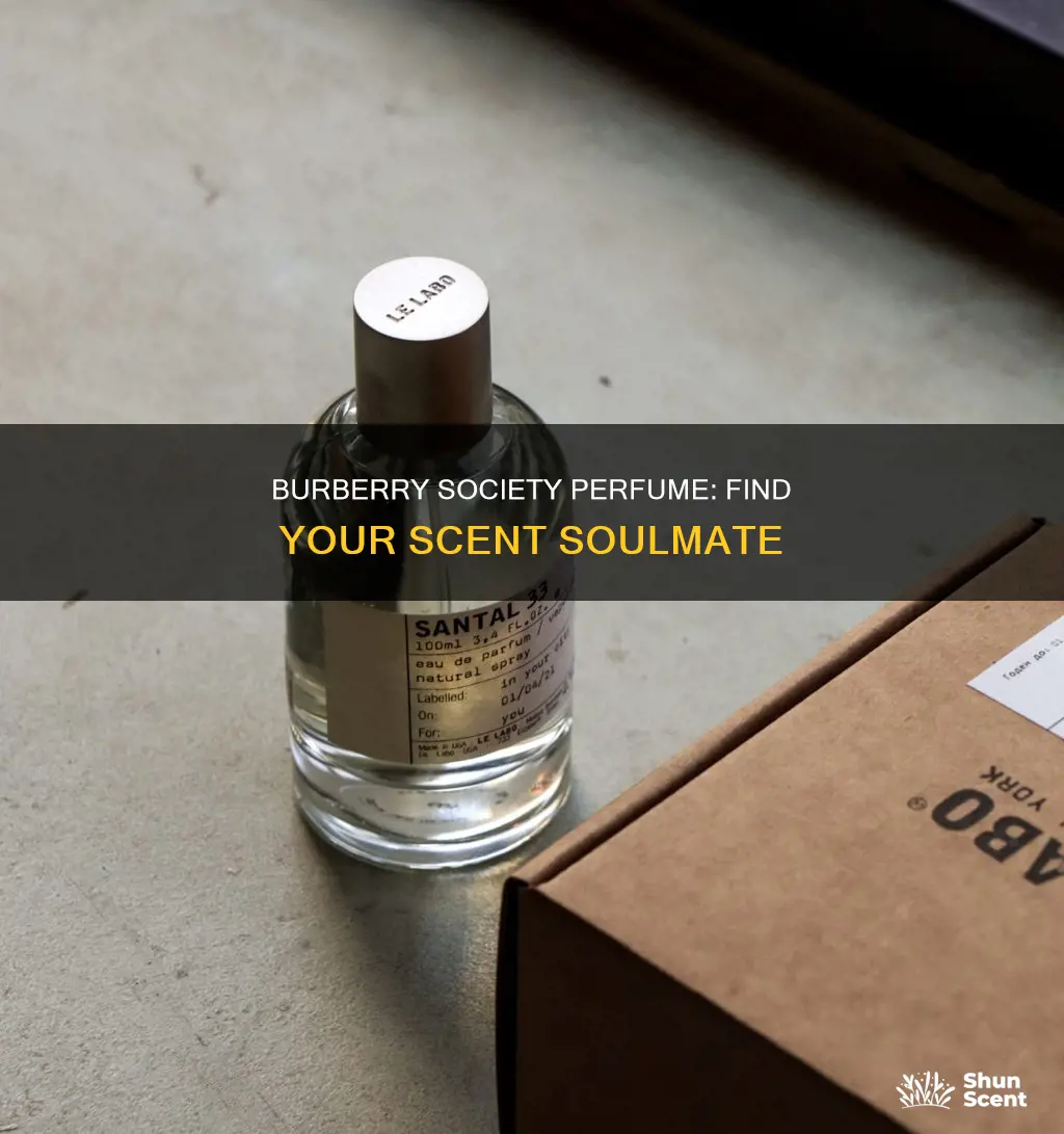 what perfume smells similar to society by burberry