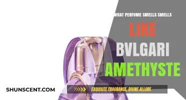 Similar Scents: Bvlgari Amethyste and Its Perfume Cousins