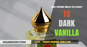 The Ultimate Dark Vanilla Scented Perfumes