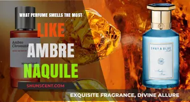 Similar Scents: Ambre Naqili's Close Cousins