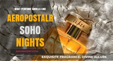 Discover the Alluring Scent Twin: Aeropostale Soho Nights Perfume Match