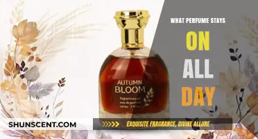Long-Lasting Scents: Discover Perfumes That Stay On All Day