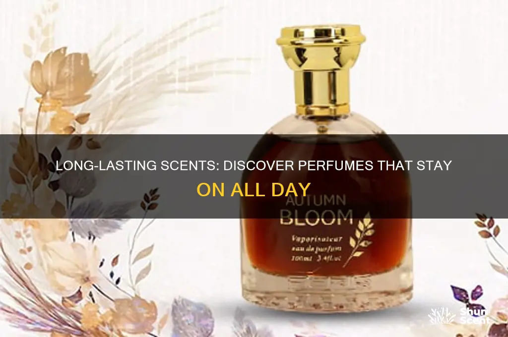 what perfume stays on all day