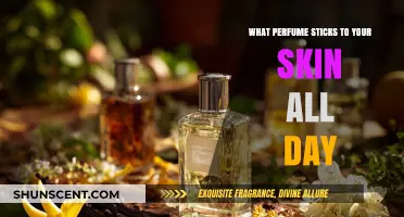 Long-Lasting Scents: Perfumes That Stay on Skin All Day