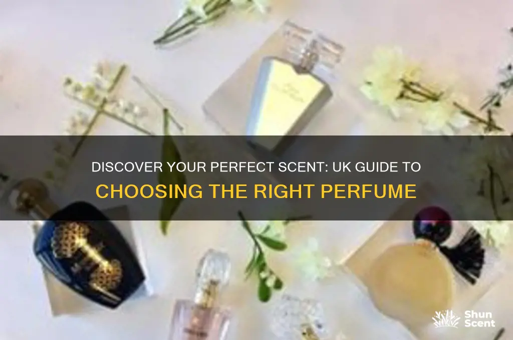 what perfume suits me uk