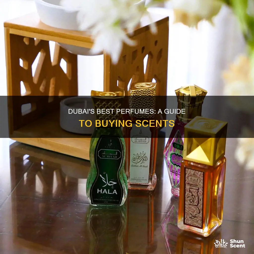 what perfume to buy in dubai