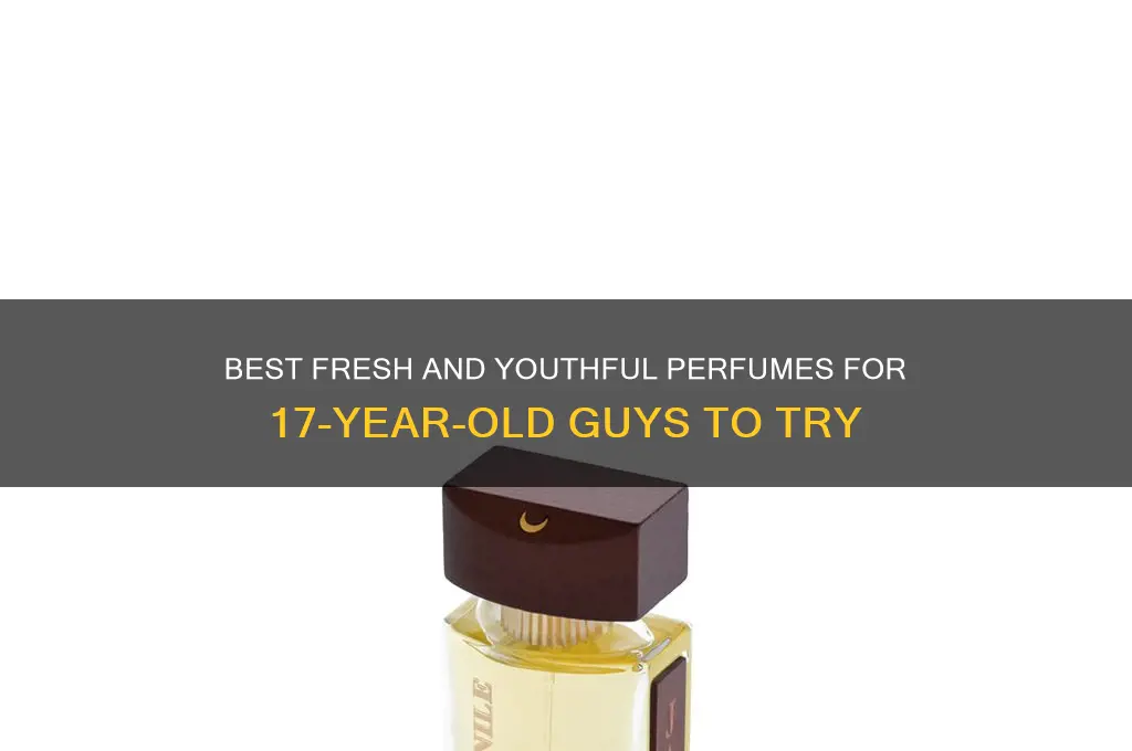 what perfume to use at 17 guys