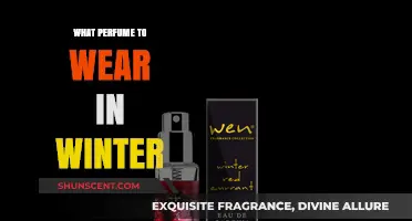 Cozy Winter Scents: Best Perfumes to Warm Up Your Season
