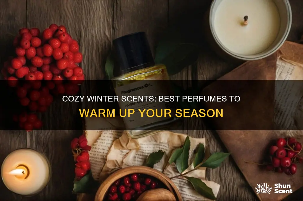 what perfume to wear in winter