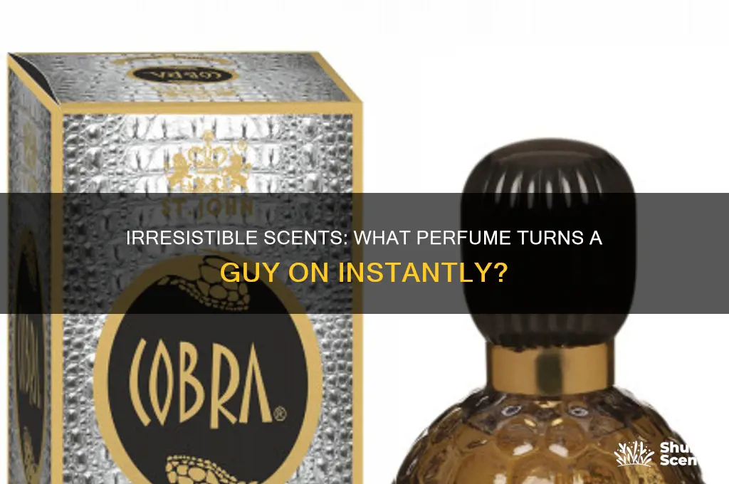 what perfume turns a guy on