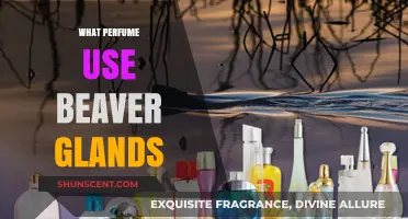 Unveiling the Secret: Perfumes That Use Beaver Glands