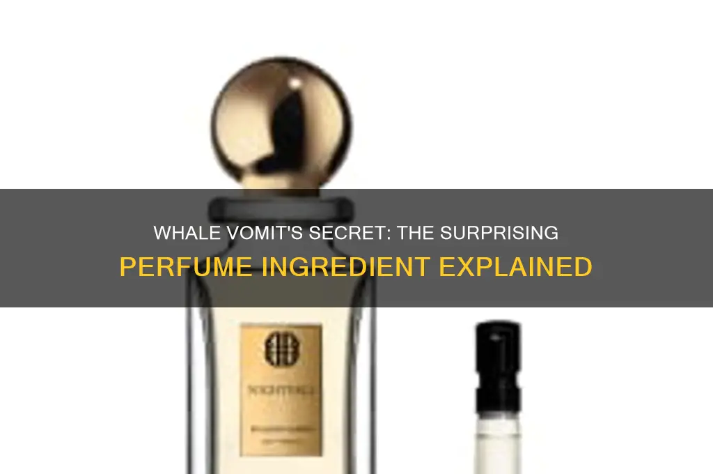 what perfume use whale vomit