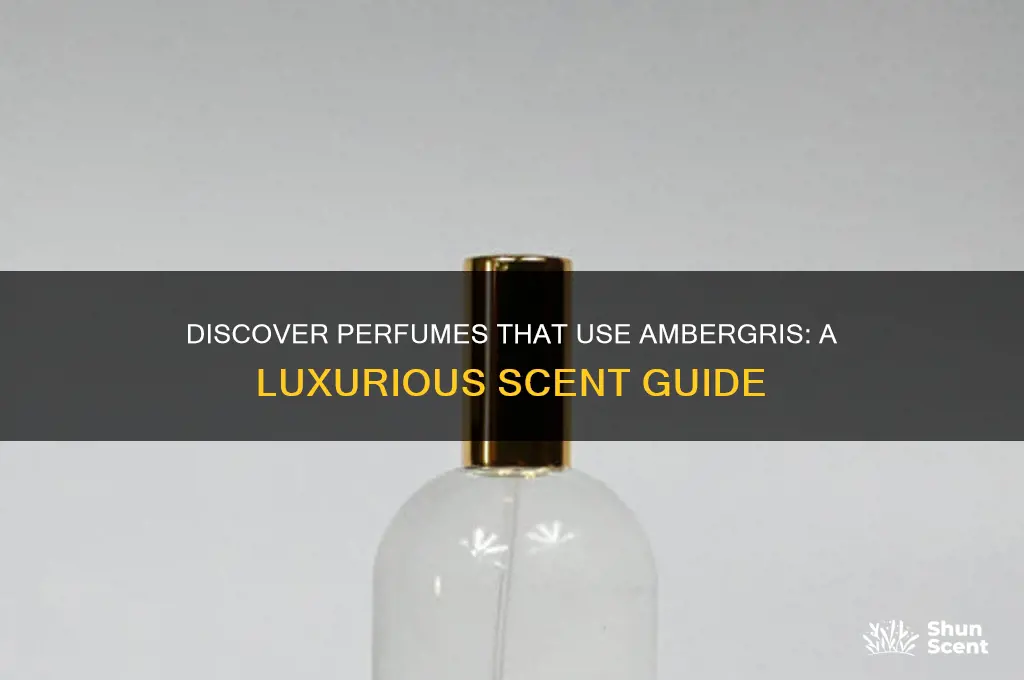 what perfume uses ambergris