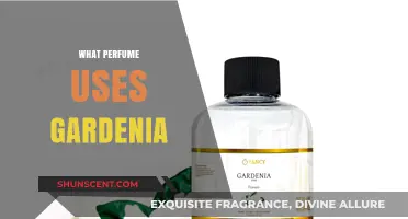 Discover Gardenia Perfumes: Top Scents Featuring This Floral Note