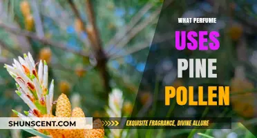Discover the Unique Scent: Perfumes Infused with Pine Pollen
