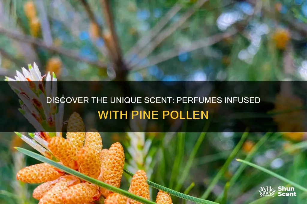what perfume uses pine pollen