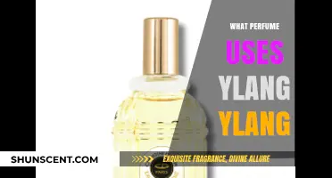 Discover Perfumes Featuring Ylang Ylang: A Floral Fragrance Guide