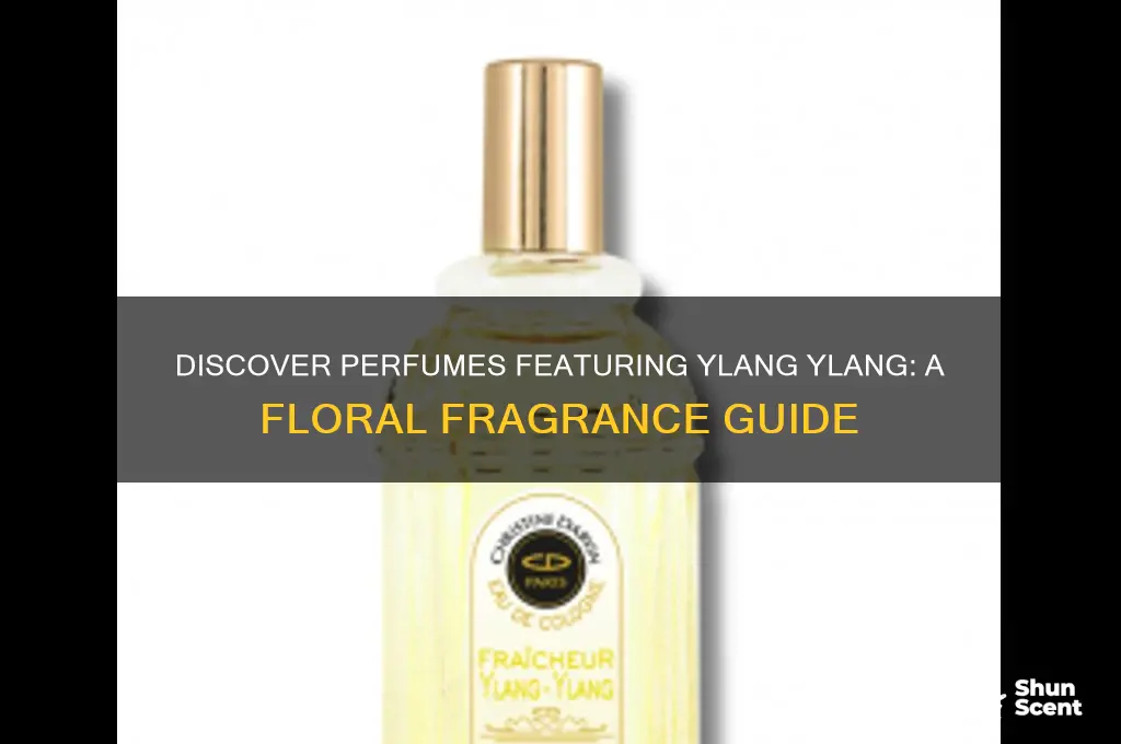 what perfume uses ylang ylang