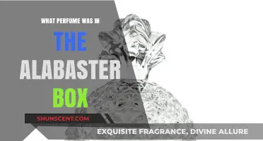Unveiling the Scent: The Alabaster Box's Perfume Mystery Explored