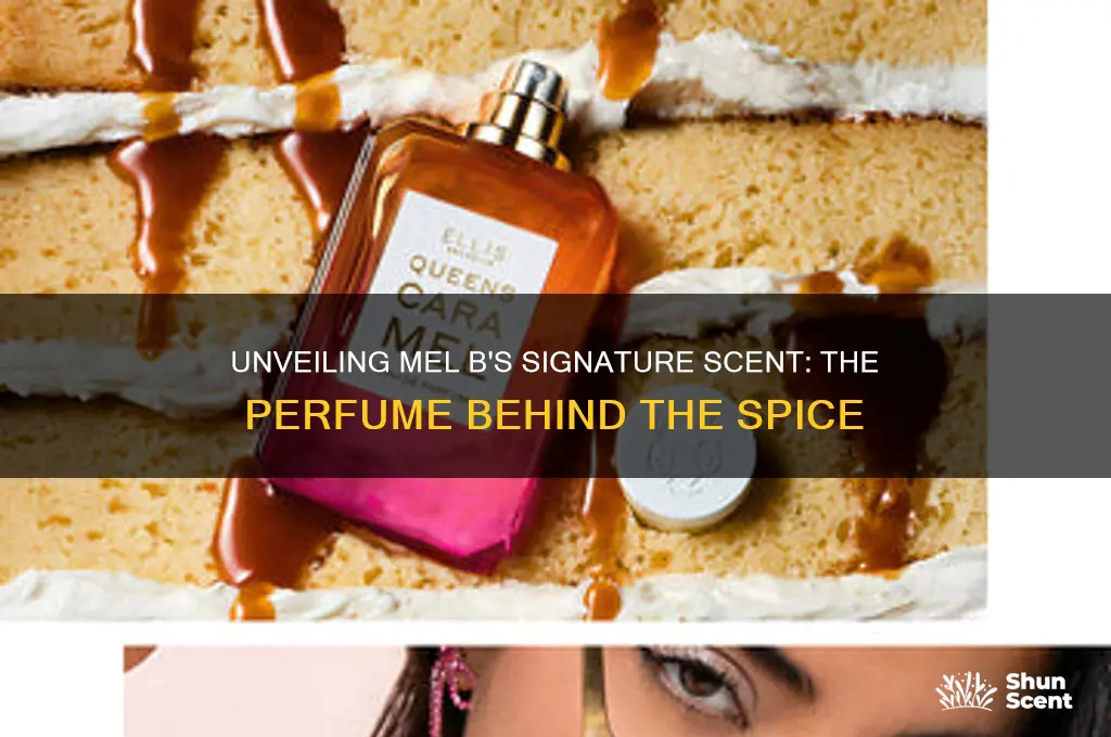 what perfume was mel b wearing