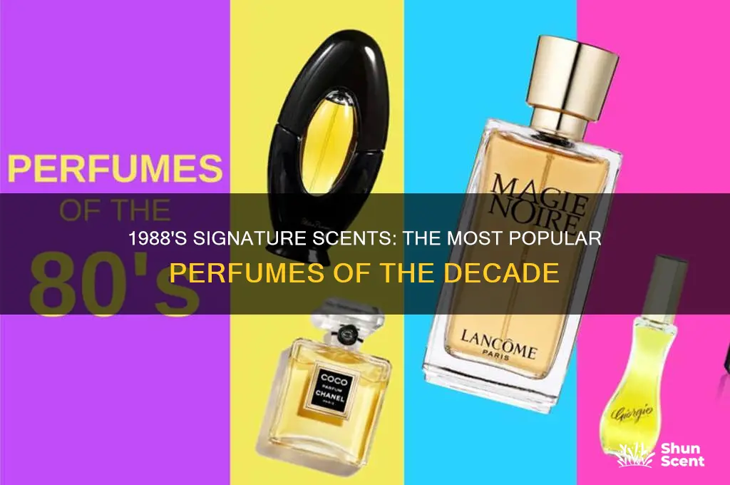 what perfume was popular in 1988