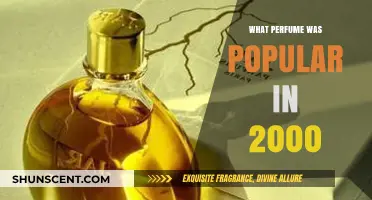 Scents of the Millennium: Iconic Perfumes That Defined 2000