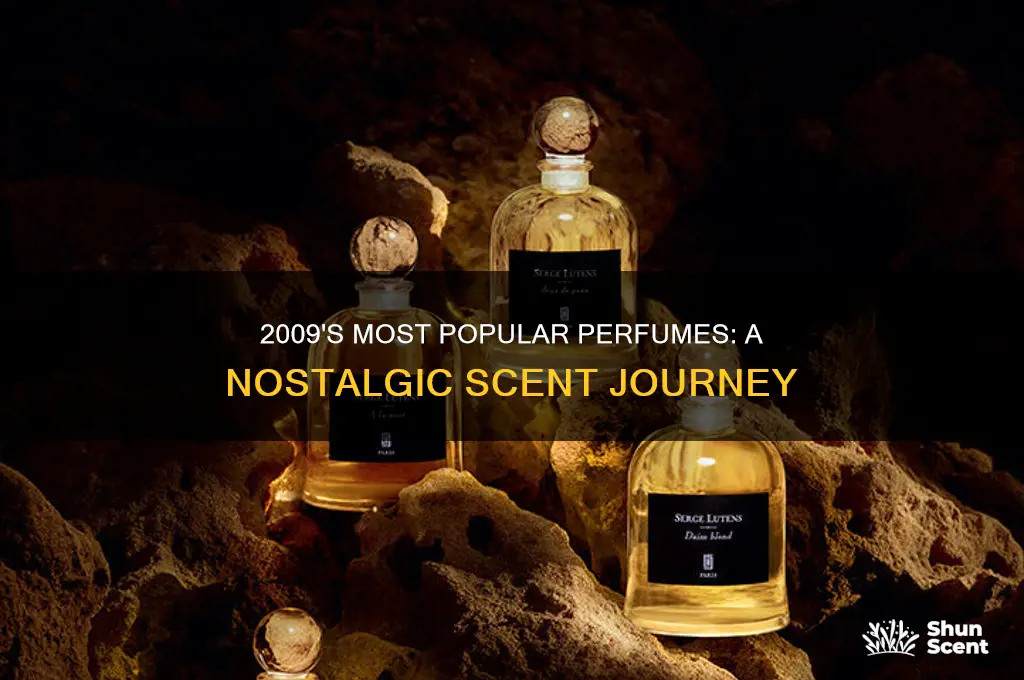 what perfume was popular in 2009