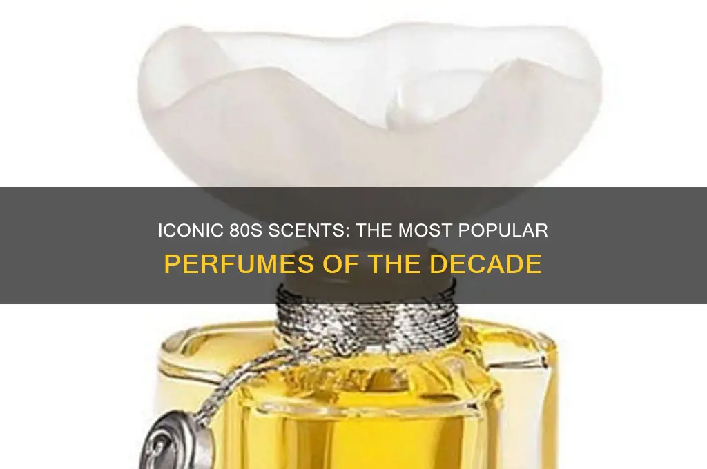 what perfume was popular in the 80