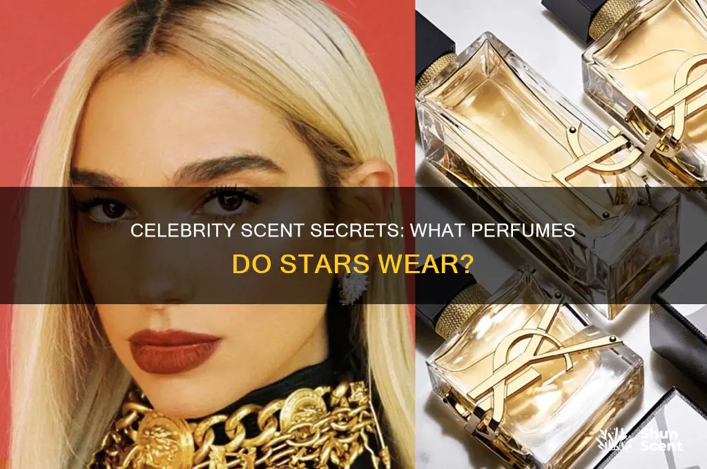 what perfume wear celebrities