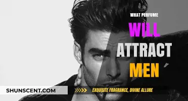 Irresistible Scents: Perfumes That Naturally Attract Men's Attention