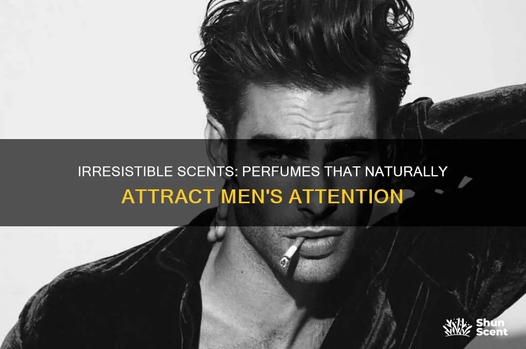 what perfume will attract men