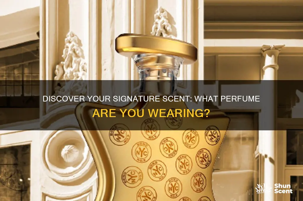 what perfume you are wearing