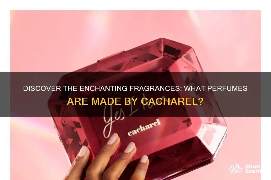 what perfumes aer made by cacharel