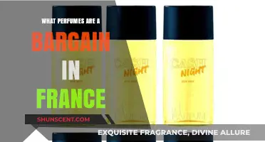 Discover France's Best Bargain Perfumes: Affordable Luxury Scents Revealed