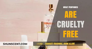 Cruelty-Free Fragrances: Discover Ethical and Compassionate Perfumes to Love
