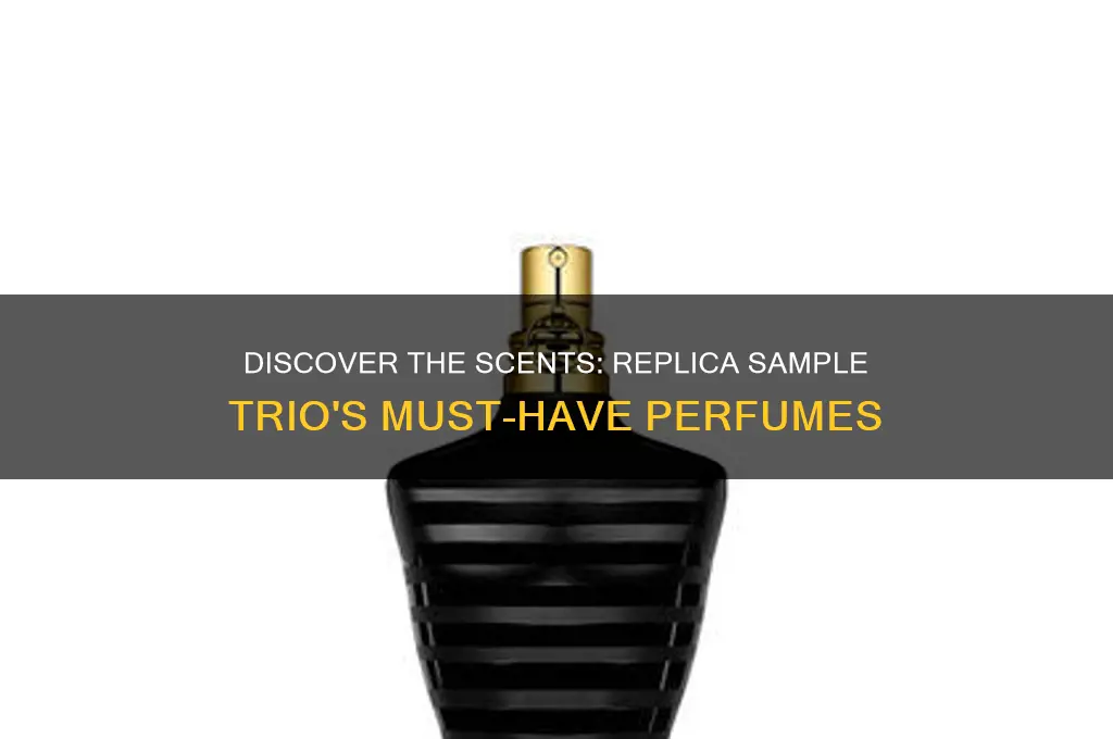 what perfumes are in the replica sample trio
