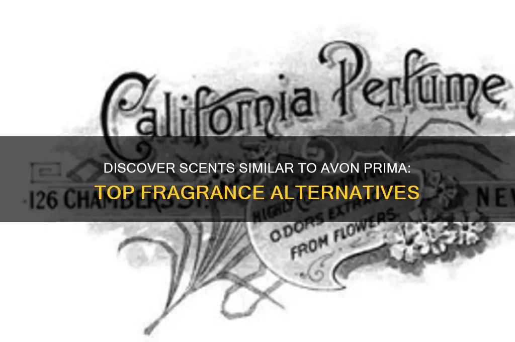what perfumes are like avon prima