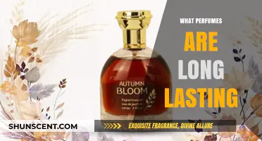 Discover the Most Enduring Perfumes for All-Day Scent Satisfaction