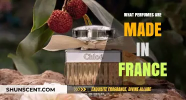Discover the Iconic French Perfumes Crafted in France's Fragrance Capital