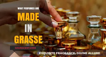 Discover Grasse's Signature Scents: Perfumes Crafted in the Fragrance Capital